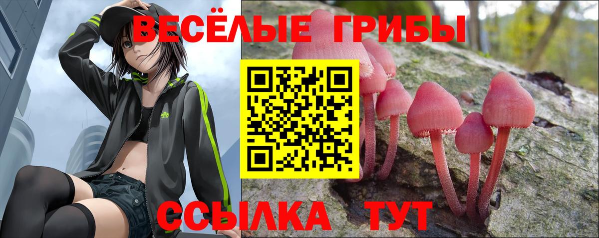 Галлюциногенные грибы GOLDEN TEACHER Новозыбков