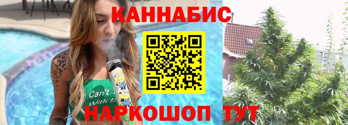 Канабис планчик  Вход с VPN  Бошки марихуана THC 21%  Новозыбков  Шишки марихуана конопля 